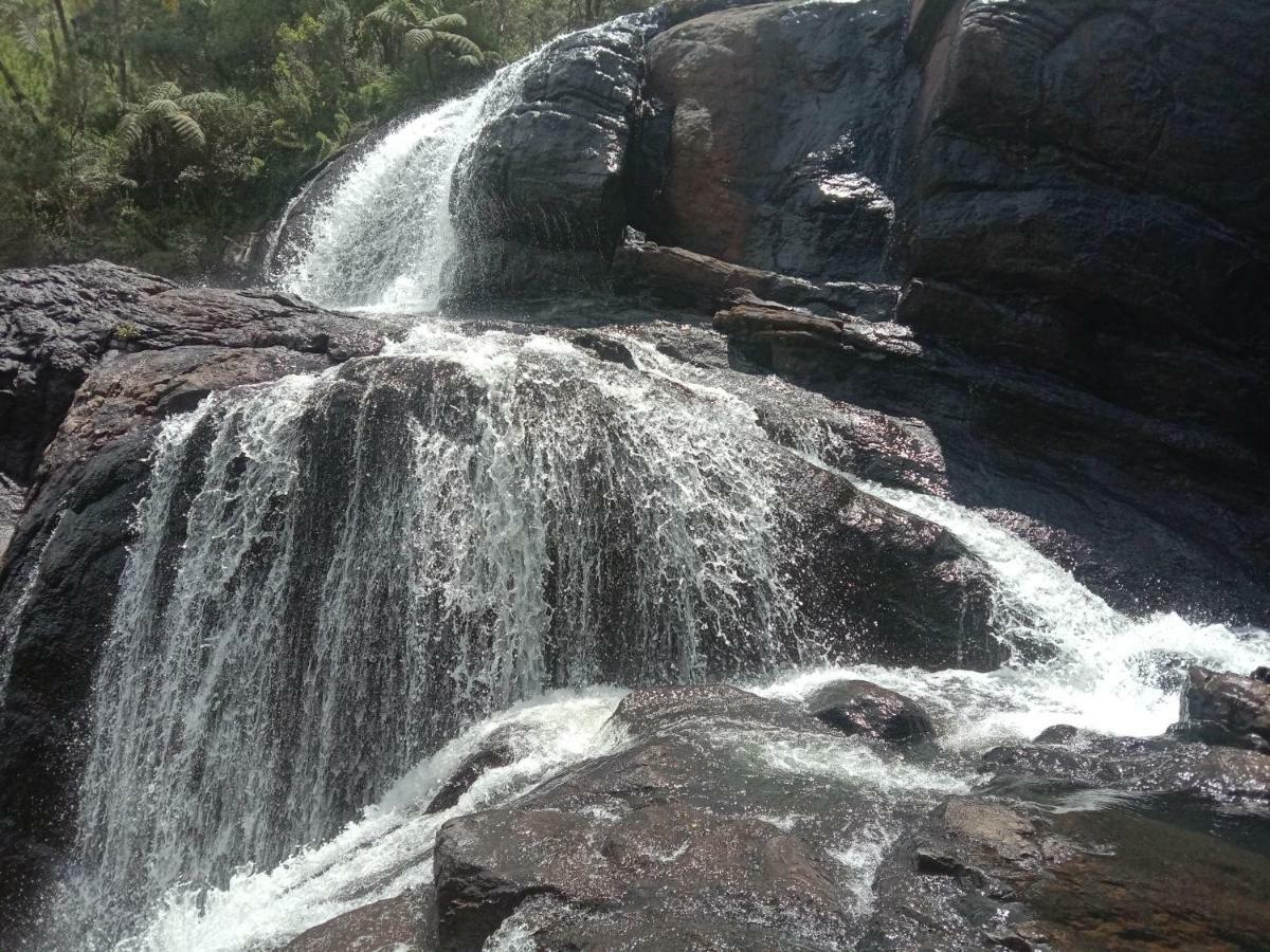 गेस्ट हाउस White Arcadia *