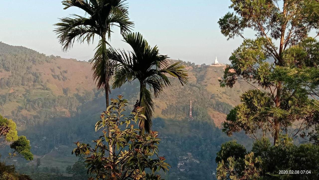 White Arcadia गेस्ट हाउस