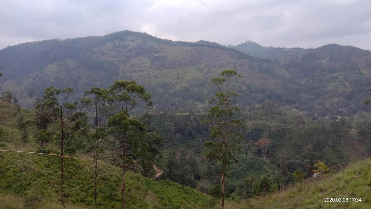 गेस्ट हाउस White Arcadia Ella